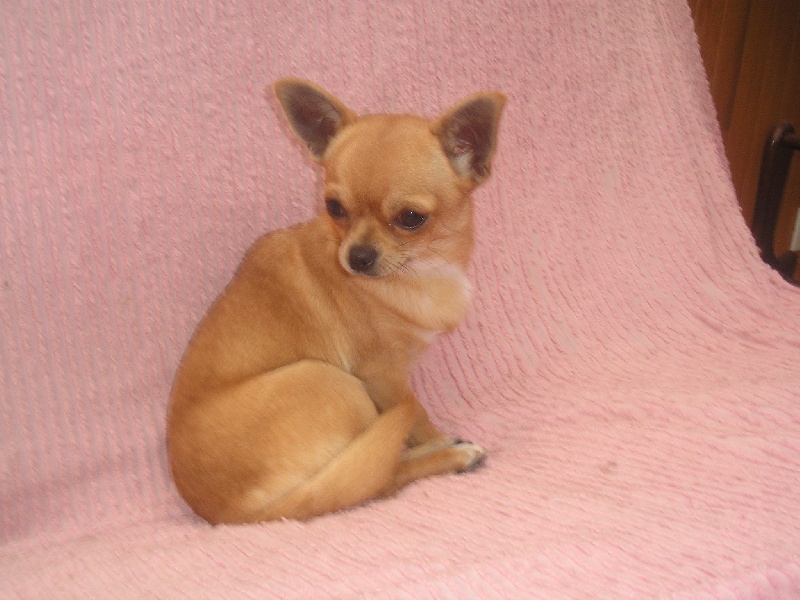 Cassandre Des graines de stars