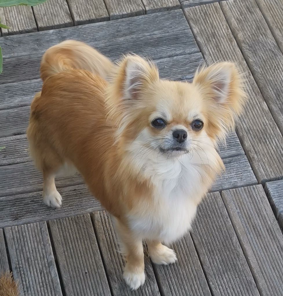 Riley Des graines de stars